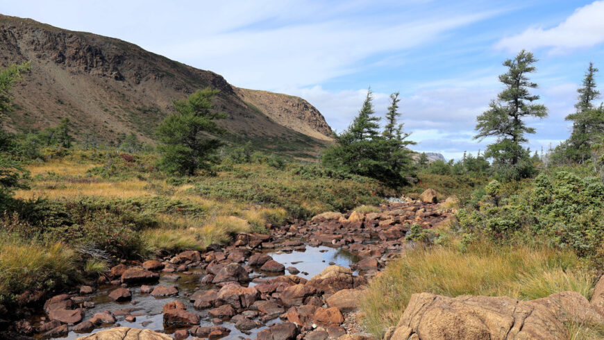 Exploring the East Blow Me Down Trail